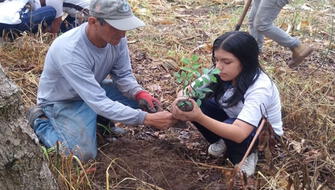 Destinan S/ 45,000 para reforestar faja marginal del río Mayo