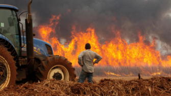 América fue un inferno por incendios forestales en el 2024