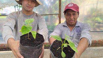 Vivero intenta preservar emblemático árbol de la quina