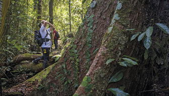 Ecuador refinancia deuda a cambio de conservar la Amazonía