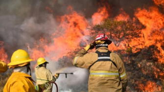 Perú: Buscan restaurar ecosistemas dañados por incendios