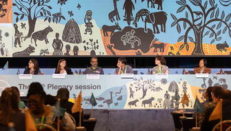 IPBES pide cambio urgente para salvar biodiversidad de la Tierra