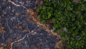 Unión europea retrasa un año su ley sobre deforestación