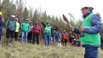 Gobiernos regionales reciben asistencia para ordenamiento forestal