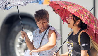 Selva peruana soportará temperaturas extremas de 36°C