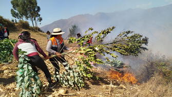 Pasco prohíbe quema de pastos y bosques para evitar incendios forestales