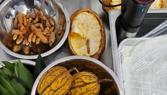 Aprueban norma técnica para el fruto macambo