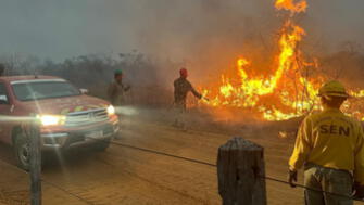 Paraguay: Incendios forestales arrasan con más de 60 mil hectáreas