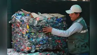 Economía circular: construyendo modelos de producción sostenibles, rentables y competitivos
