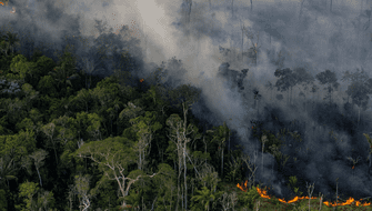 Brasil: Degradación en la Amazonía aumenta casi un 500 % en el 2024