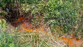 OEFA confirma derrame de aceite de palma en Ucayali