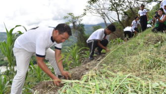 San Martín invertirá S/ 7 millones para reforestar suelos degradados