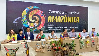 Países amazónicos se reúnen para definir política medioambiental