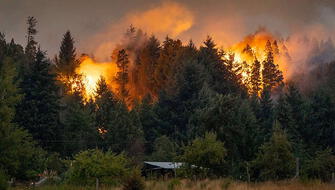 Greenpeace: Incendios en La Patagonia son los peores en tres décadas