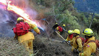 Sernanp contará con 600 guardaparques para afrontar incendios forestales