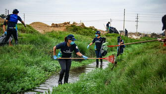 Pantanos de Villa: Convocan a voluntarios para limpieza del humedal