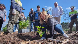 España: Siembran 30 mil árboles para combatir la deforestación