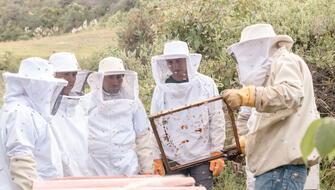 Productores apícolas reciben apoyo para fortalecer su actividad
