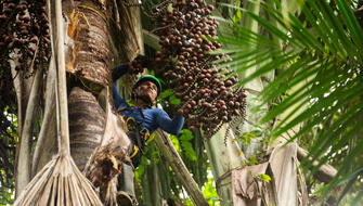 Amazonía: Bionegocios impulsan conservación y desarrollo sostenible