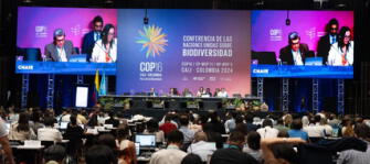 COP16: Conferencia cumplió con el 100 % de objetivos