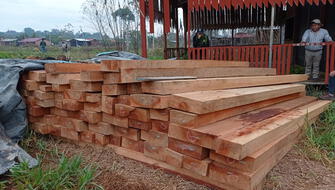 Decomisan cerca de 4,600 tablas de madera ilegal en Puno