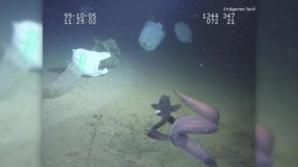 Basura humana llega al punto más profundo del Mediterráneo
