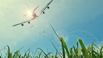 Ecopilotaje: La tendencia de las aerolíneas a favor del medioambiente
