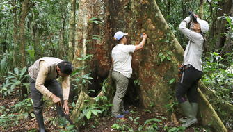Perú recibe ‘Oscar’ de la sostenibilidad por conservación de sus bosques