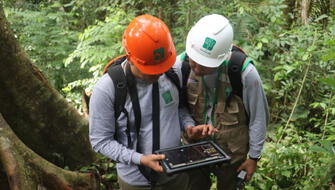 Inteligencia Artificial optimizará supervisión en bosques peruanos