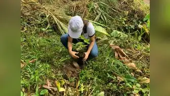San Martín: Campaña busca reforestar áreas afectadas por incendios