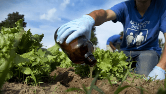 Orina humana sería utilizada como fertilizante en agricultura sostenible