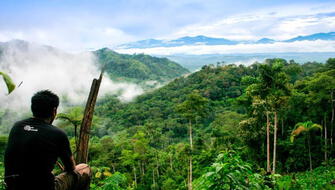 Zonificación forestal será priorizada en nueve departamentos del Perú
