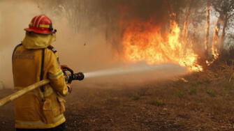 Lima: Incendio forestal arrasa con varias hectáreas de humedales
