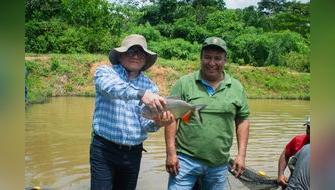 Pez nativo “Paco” ayuda a conservar más de 52 mil hectáreas de bosques en Madre de Dios