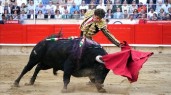 España: Iniciativa legal busca acabar con la tauromaquia