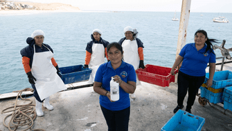 Mujeres emprendedoras convierten desechos de pescado en biofertilizantes