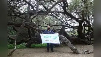 Autoridades despliegan acciones para conservar bosques secos de Piura