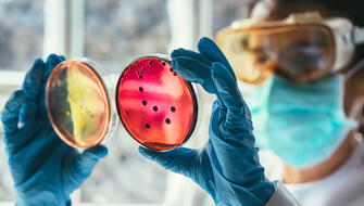 Cambio climático agravará problema de resistencia a los antimicrobianos