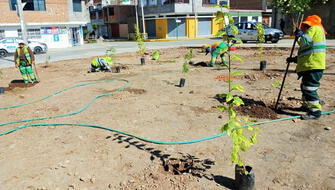 Botadero informal es transformado en área verde