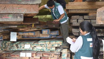Decomisan madera de origen ilegal en ruta Madre de Dios-Arequipa