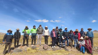 Despliegan patrullaje para prevenir caza furtiva de vicuñas