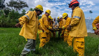Bomberos forestales se despliegan en Parque Nacional del Manu