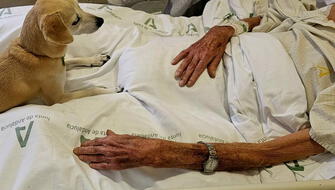 Hospital habilita sala para que mascotas visiten a sus amos