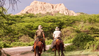 Bosque de Pómac será incluido en la ruta “Caminos del Papa León XIV”