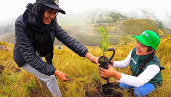 Cajamarca tendrá más de 2 millones de nuevos árboles a fines de 2026