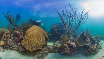 Colombia anuncia creación de nueva reserva marina en el Caribe