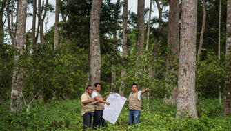 Reconocen a espacio privado verde como Área de Conservación