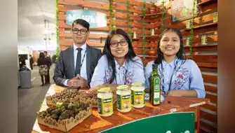 Universidades al fomento de una cultura emprendedora en el país