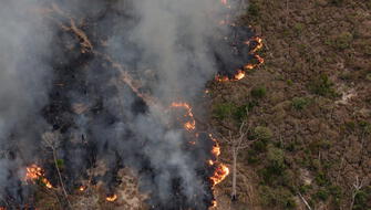 Amazonía brasileña registró en 2024 los mayores daños por fuego