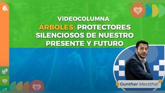 Árboles: Protectores silenciosos de nuestro presente y futuro